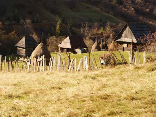 Foto In curand doar amintiri (c) Petru Goja